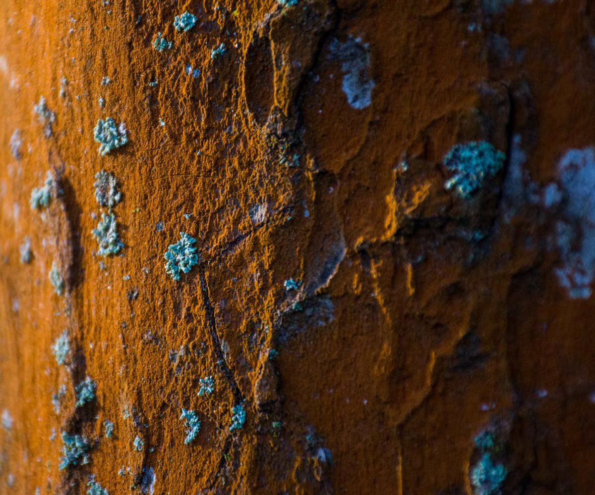 Building Owners Picture